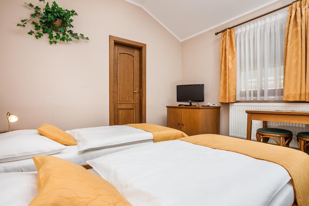 Hotel Jelinkova Vila Velke Mezirici Room photo